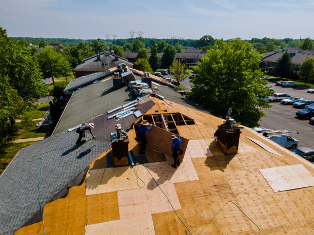 Best Flat Roof Repair Services  in Houghton, NY