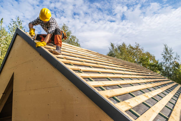 Best Roof Gutter Cleaning  in Houghton, NY