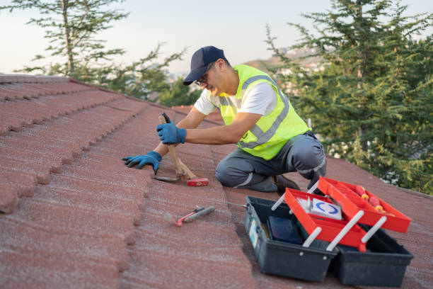 Best Roof Repair Services  in Houghton, NY