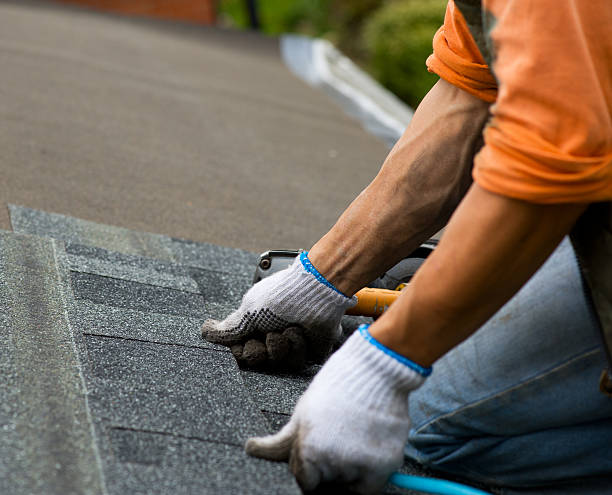 Best Storm Damage Roof Repair  in Houghton, NY
