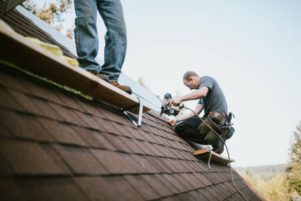 Best Gutter Installation and Roofing  in Houghton, NY